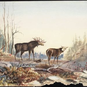 Exploring Canada Through the Arts