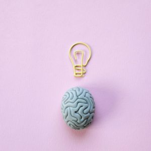 Les mystères révélés de notre cerveau